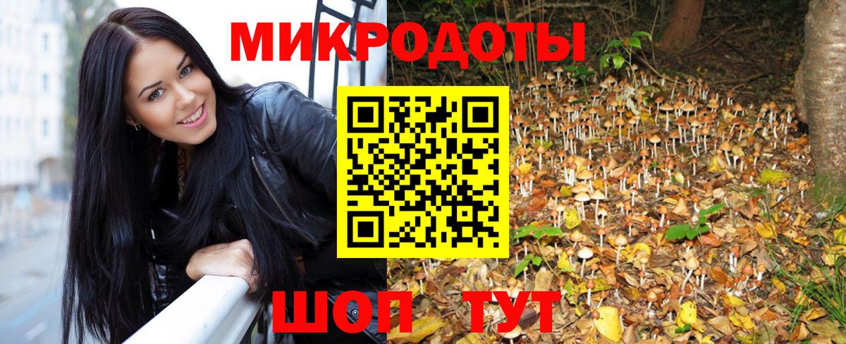 Псилоцибиновые грибы мицелий Пугачёв