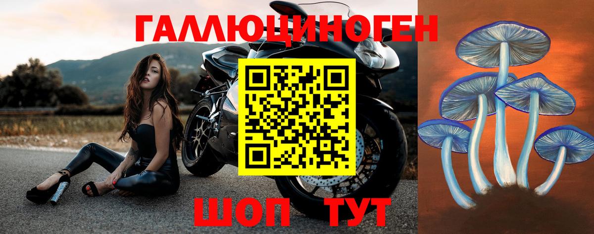 Пугачёв  Галлюциногенные грибы Psilocybine cubensis  сколько стоит  Вход с VPN 